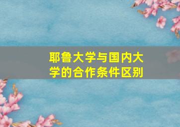 耶鲁大学与国内大学的合作条件区别