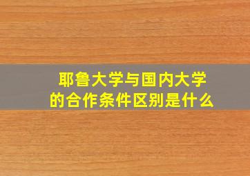 耶鲁大学与国内大学的合作条件区别是什么