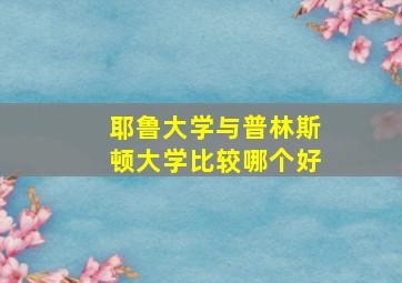 耶鲁大学与普林斯顿大学比较哪个好