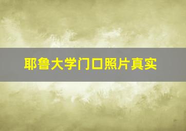 耶鲁大学门口照片真实