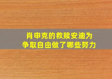 肖申克的救赎安迪为争取自由做了哪些努力