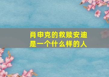 肖申克的救赎安迪是一个什么样的人