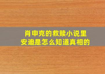 肖申克的救赎小说里安迪是怎么知道真相的