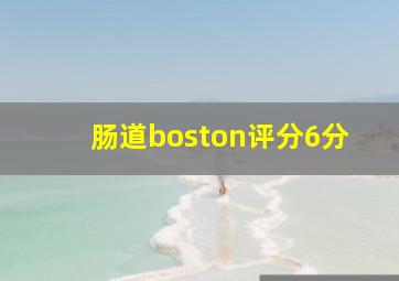 肠道boston评分6分