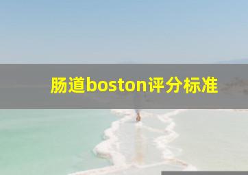 肠道boston评分标准