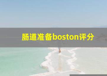 肠道准备boston评分