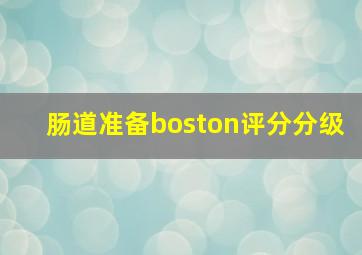 肠道准备boston评分分级