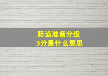 肠道准备分级3分是什么意思