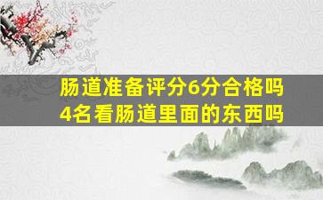 肠道准备评分6分合格吗4名看肠道里面的东西吗