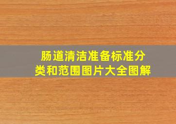 肠道清洁准备标准分类和范围图片大全图解