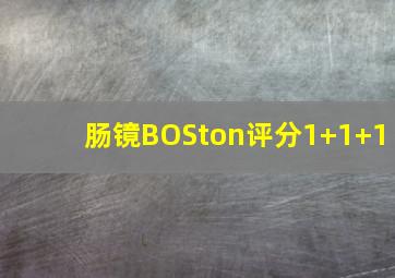 肠镜BOSton评分1+1+1