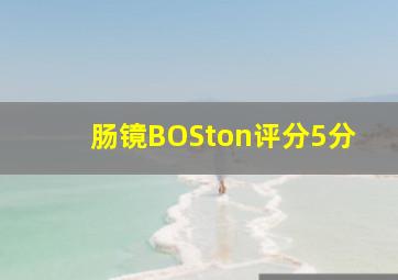 肠镜BOSton评分5分