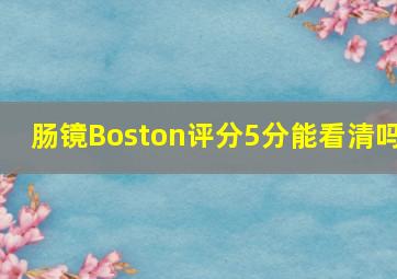 肠镜Boston评分5分能看清吗