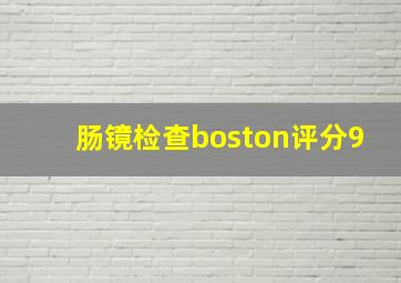 肠镜检查boston评分9