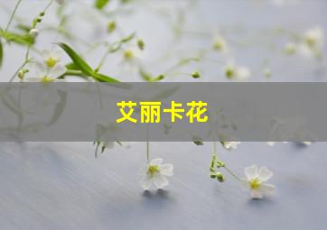 艾丽卡花