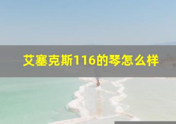 艾塞克斯116的琴怎么样