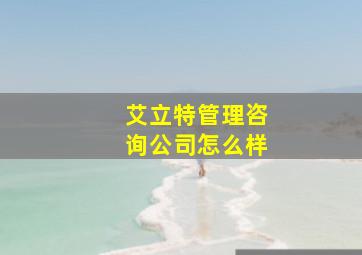 艾立特管理咨询公司怎么样