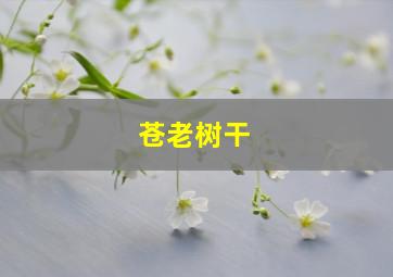 苍老树干