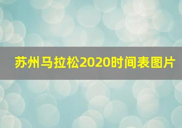 苏州马拉松2020时间表图片