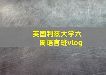 英国利兹大学六周语言班vlog