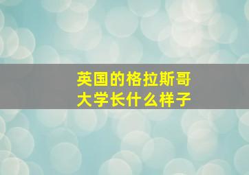 英国的格拉斯哥大学长什么样子