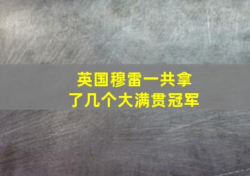 英国穆雷一共拿了几个大满贯冠军