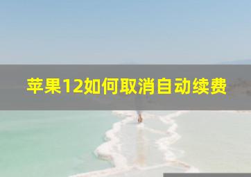 苹果12如何取消自动续费