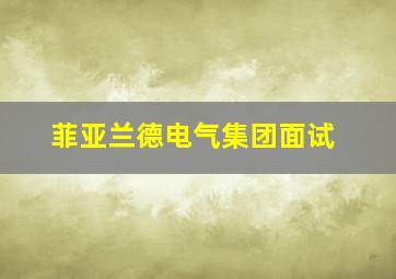 菲亚兰德电气集团面试