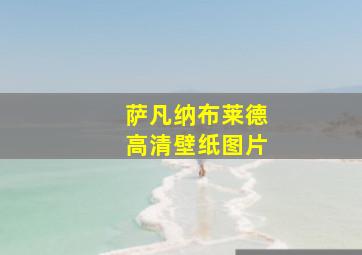 萨凡纳布莱德高清壁纸图片