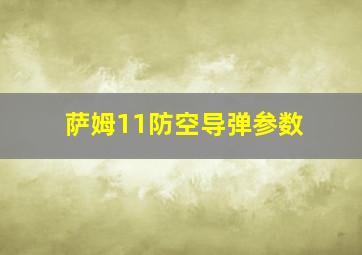 萨姆11防空导弹参数