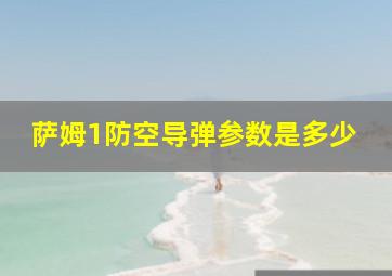 萨姆1防空导弹参数是多少