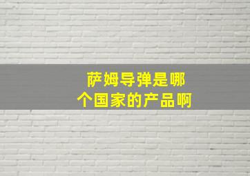 萨姆导弹是哪个国家的产品啊