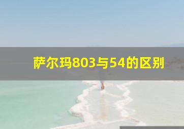 萨尔玛803与54的区别