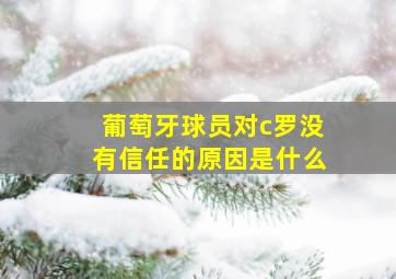 葡萄牙球员对c罗没有信任的原因是什么