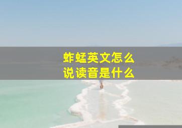 蚱蜢英文怎么说读音是什么