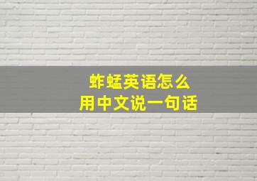 蚱蜢英语怎么用中文说一句话