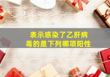 表示感染了乙肝病毒的是下列哪项阳性