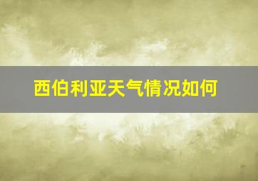 西伯利亚天气情况如何