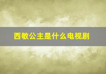 西敏公主是什么电视剧