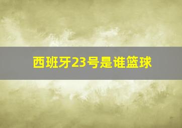 西班牙23号是谁篮球