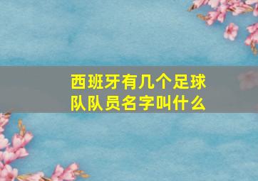 西班牙有几个足球队队员名字叫什么