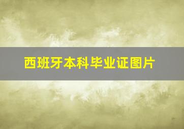 西班牙本科毕业证图片