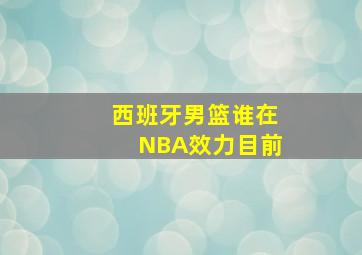 西班牙男篮谁在NBA效力目前