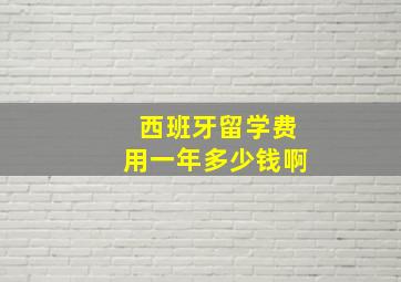 西班牙留学费用一年多少钱啊