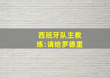 西班牙队主教练:请给罗德里