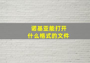 诺基亚能打开什么格式的文件