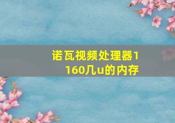 诺瓦视频处理器1160几u的内存