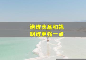 诺维茨基和姚明谁更强一点