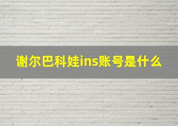 谢尔巴科娃ins账号是什么