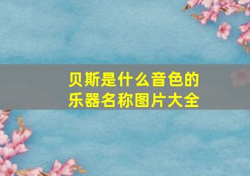 贝斯是什么音色的乐器名称图片大全